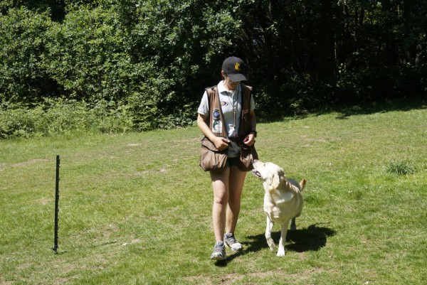 Gundog Club Grade 2