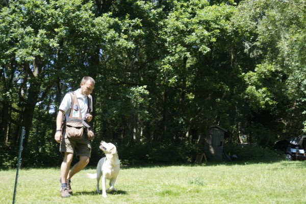 Gundog Club Grade 3 (HR/HPRs)